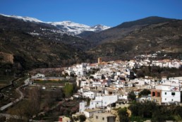 cadiar alpujarra