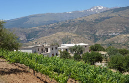 lobras alpujarra granada